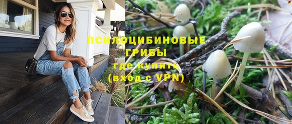 шишки Алексеевка