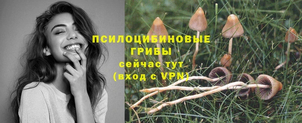 шишки Алексеевка