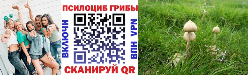 даркнет сайт Иннополис Галлюциногенные грибы прущие грибы